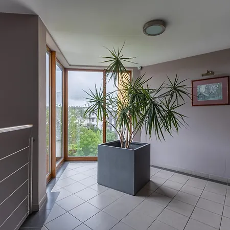 Apartament Carlos Apartment